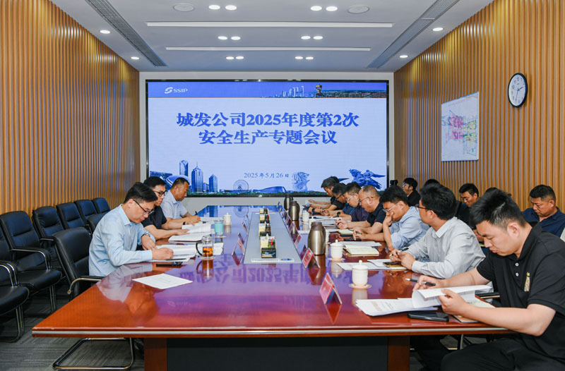 城發(fā)公司召開2025年度第2次安全生產(chǎn)專題會(huì)議